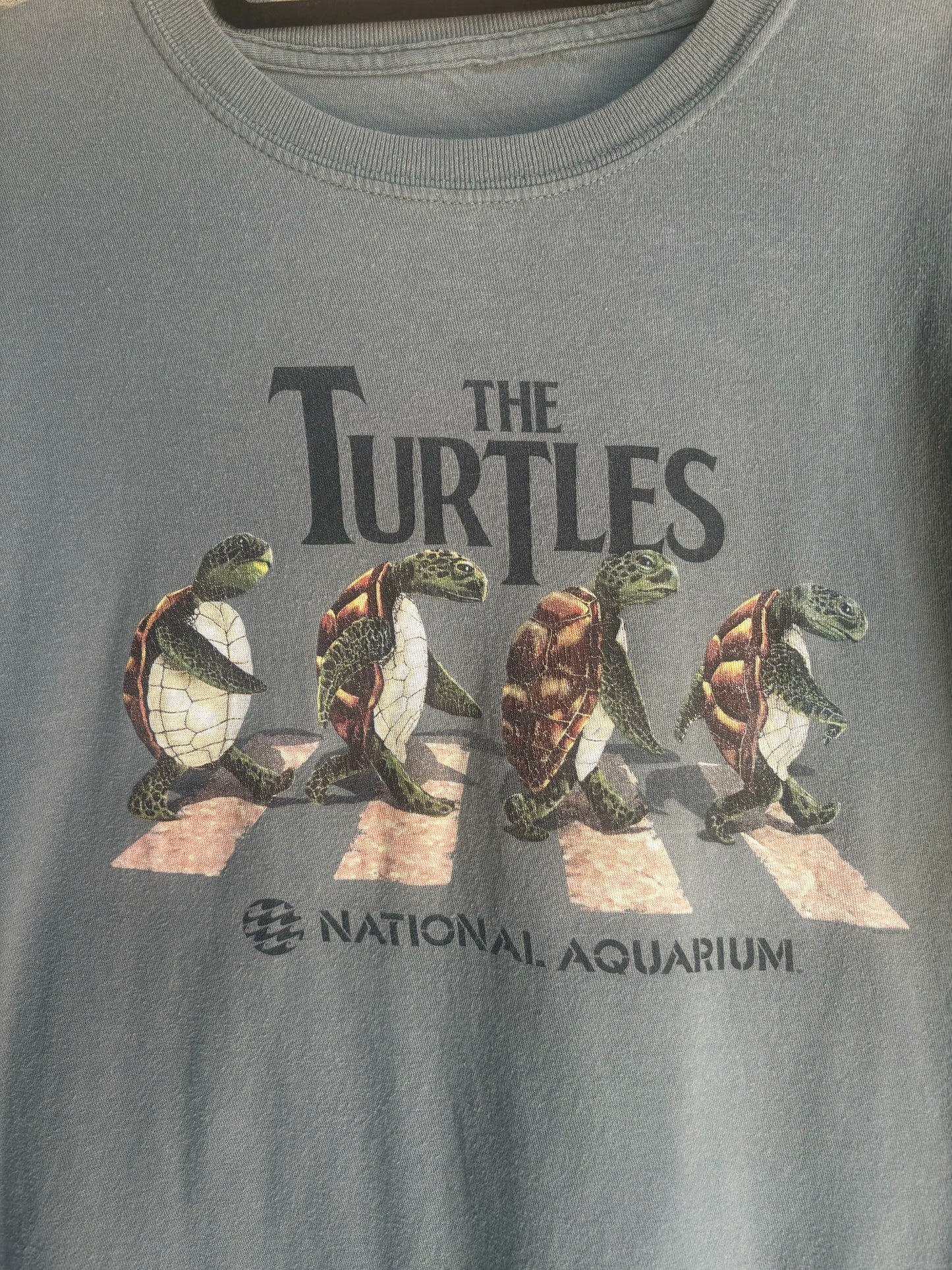 The Turtles Tshirt