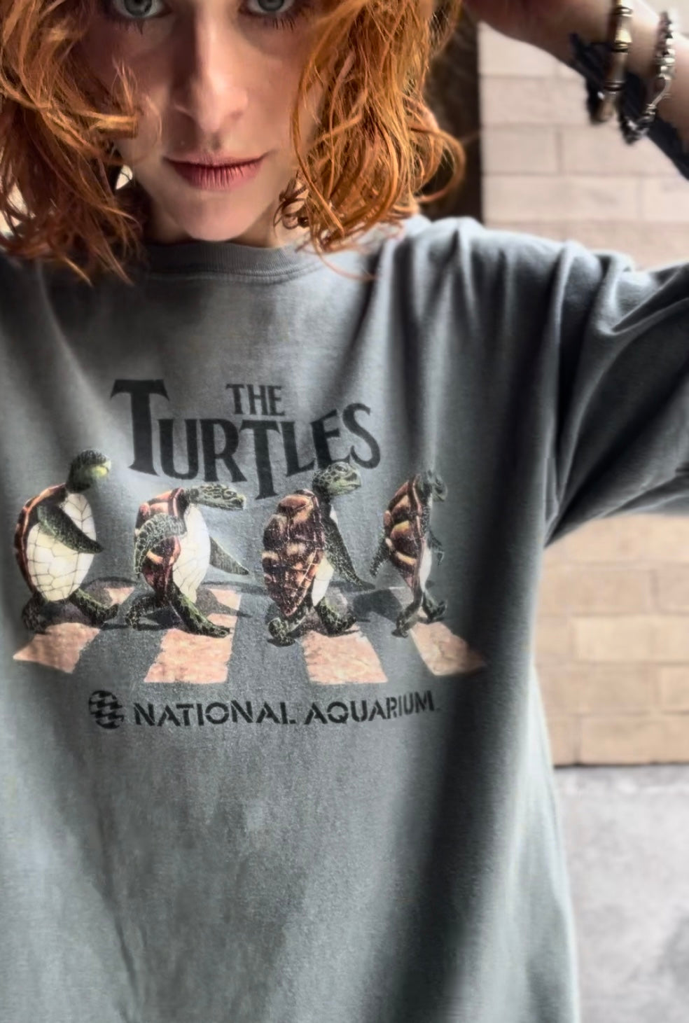 The Turtles Tshirt