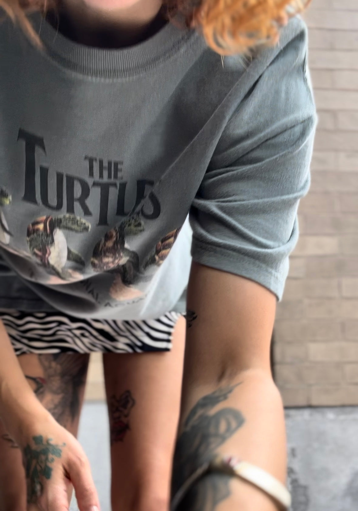 The Turtles Tshirt